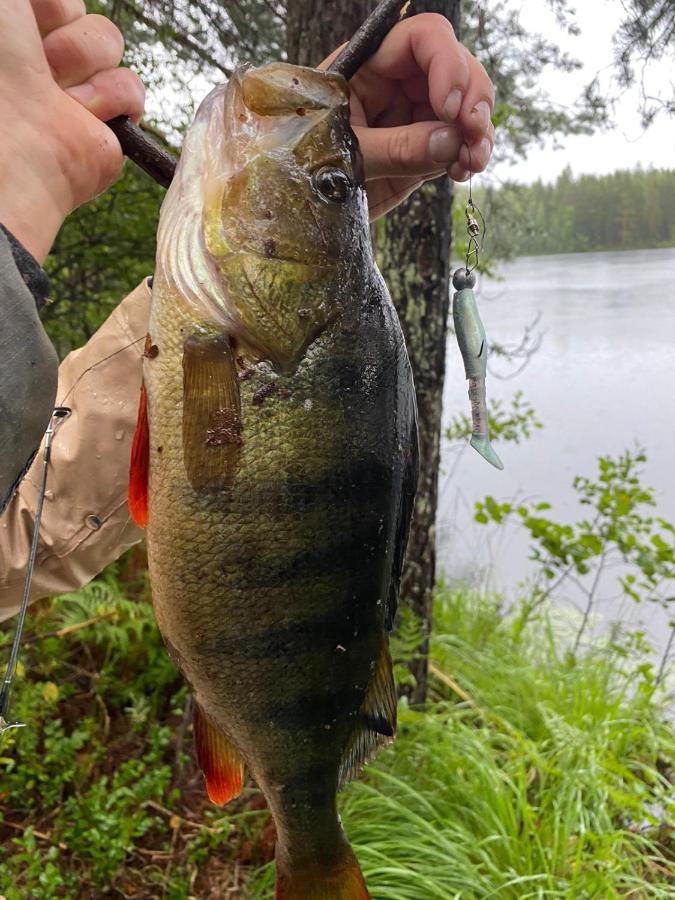 Saimaa Raikala Βίλα Vuoriniemi Εξωτερικό φωτογραφία